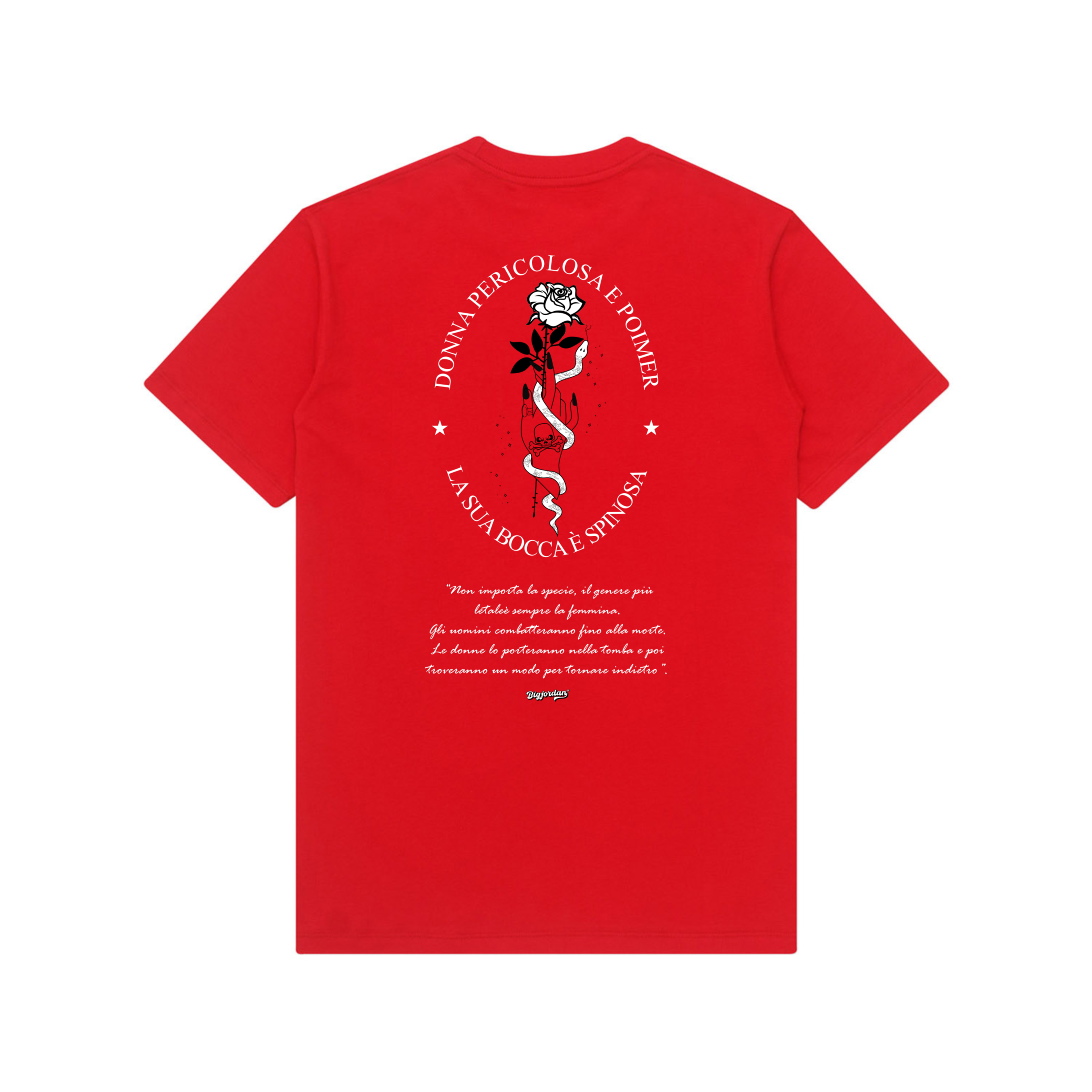 SPINOSA - KAOS GRAFIS 2